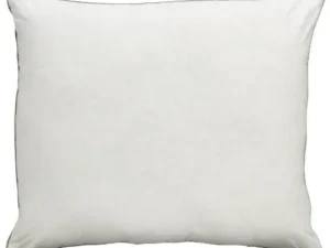 <main class="notranslate">HOOFDKUSSEN