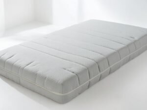 <main class="notranslate"> MATRAS